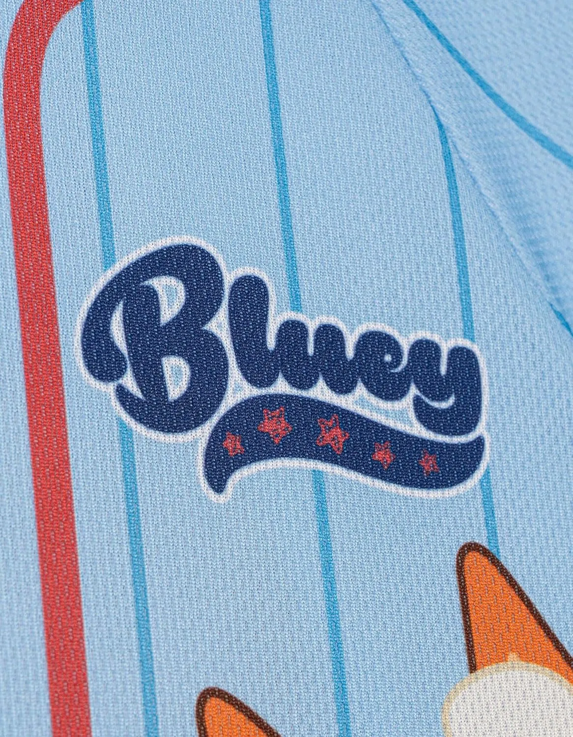 Bluey Mesh T-Shirt and Shorts Outfit Set Infant to Little Kid Sizes (12 Months - 7)