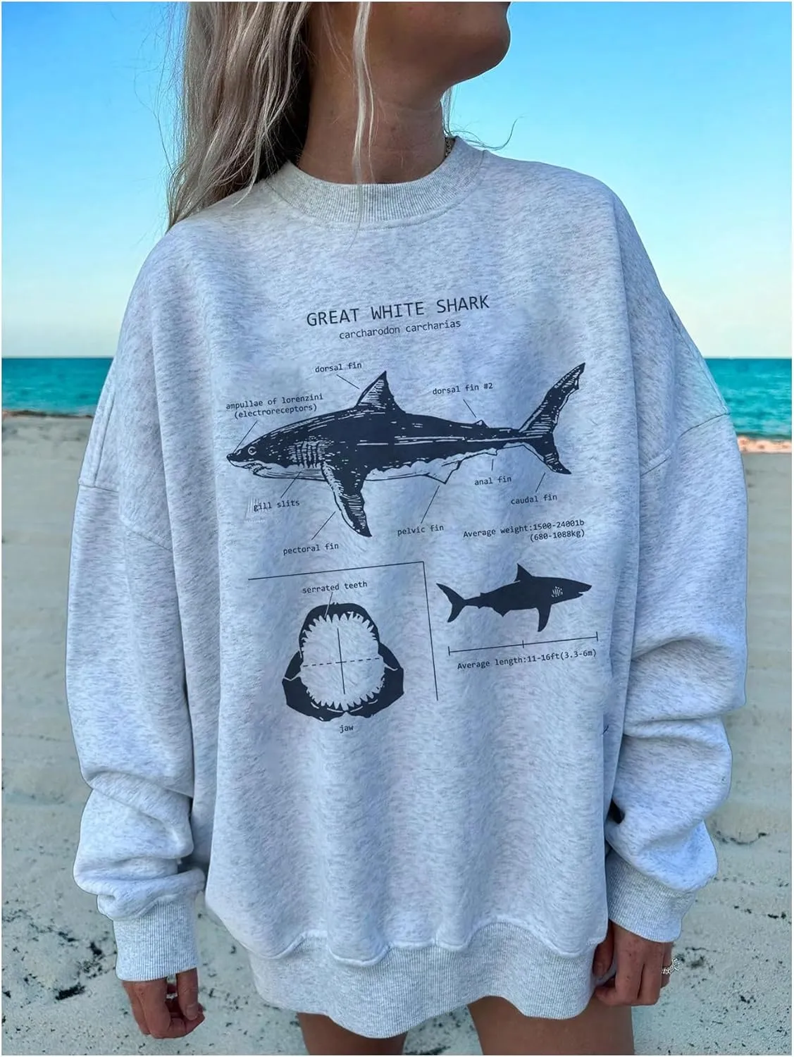 SHENHE Women's Graphic Oversized Sweatshirts Shark Print Crewneck Long Sleeve Casual Pullover Top